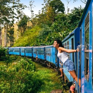 TRAVEL,,,TRAVEL,,,TRAVEL,,